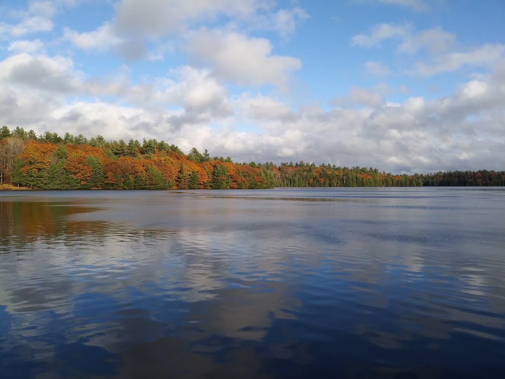 Eagles Rest Cabin & Boat Rentals | 5373 Centennial Lake Rd, Greater Madawaska, ON K0J, Canada | Phone: (613) 639-4949