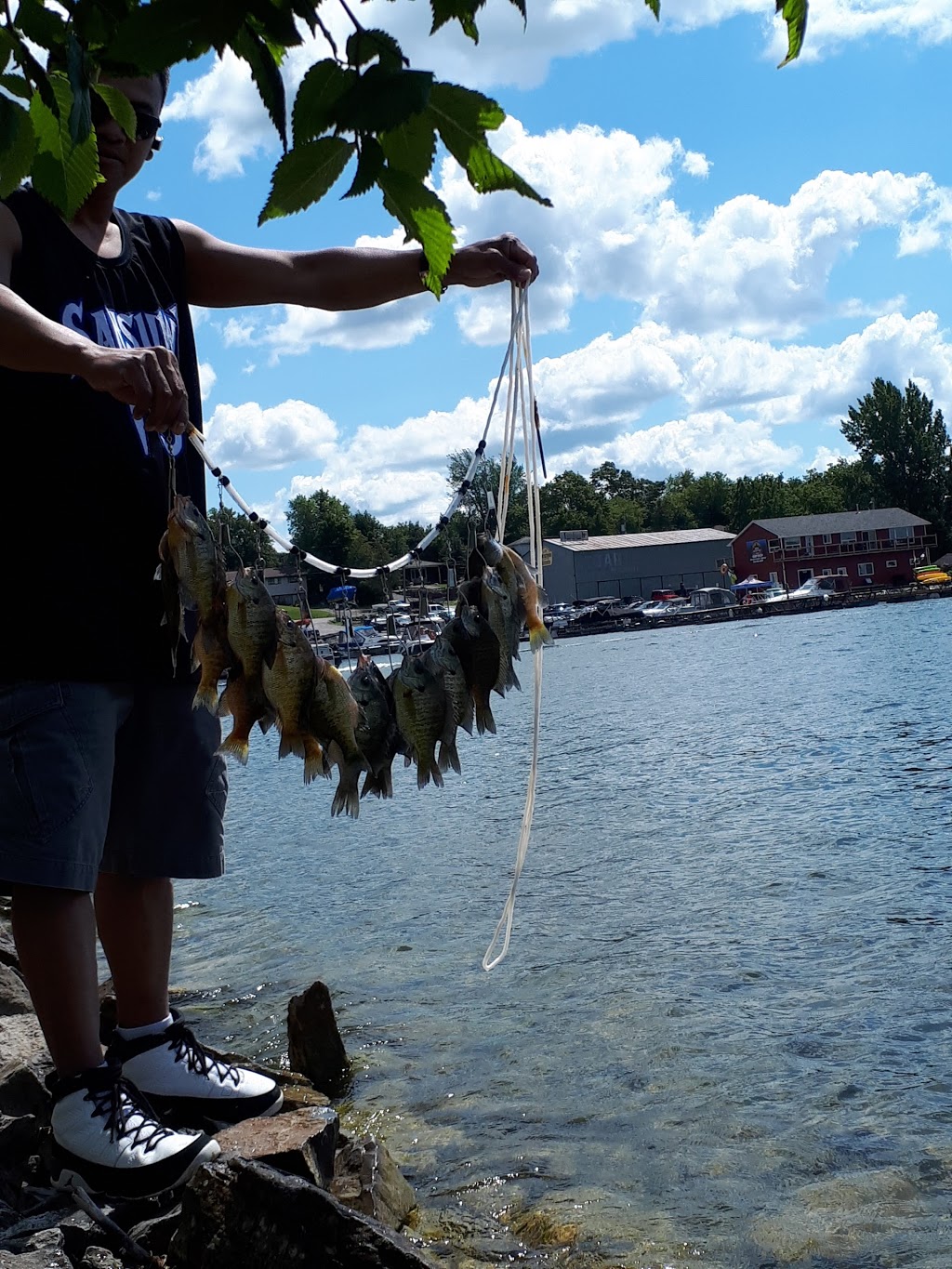 Bridgenorth Sports & Marine | 893 Garthorne Ave, Bridgenorth, ON K0L 1H0, Canada | Phone: (705) 292-9751