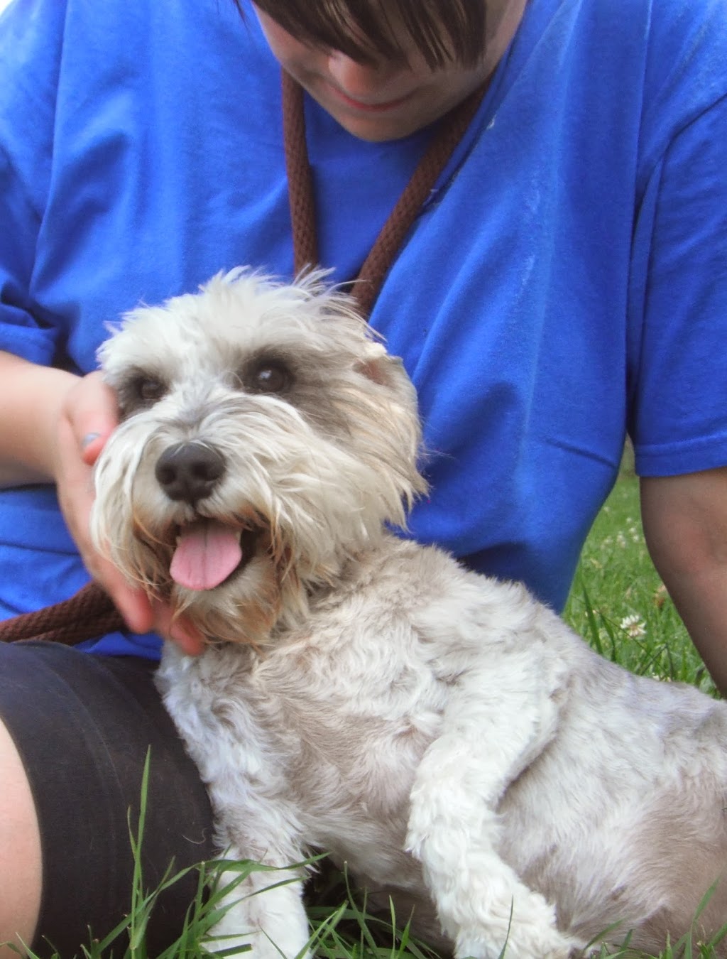 The Royal Pets Hotel and Spa | 2072 3 Line N, Shanty Bay, ON L0L 2L0, Canada | Phone: (705) 726-5034