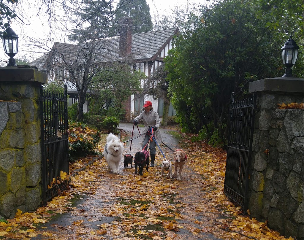 Marpole Dog Walking & Boarding Service | 7210 Hudson St, Vancouver, BC V6P 6J6, Canada | Phone: (604) 809-1761
