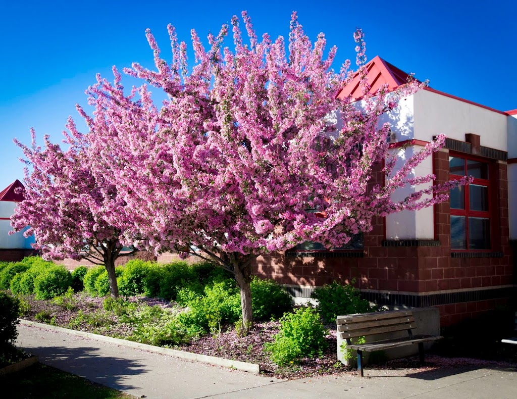 Earl Buxton School | 250 Rhatigan Rd E Northwest, Edmonton, AB T6R 2H7, Canada | Phone: (780) 435-1577