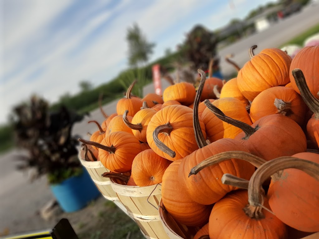 Niagara Quality Fruit | 667 Regional Rd 87, Niagara-on-the-Lake, ON L0S 1J0, Canada | Phone: (905) 347-3700