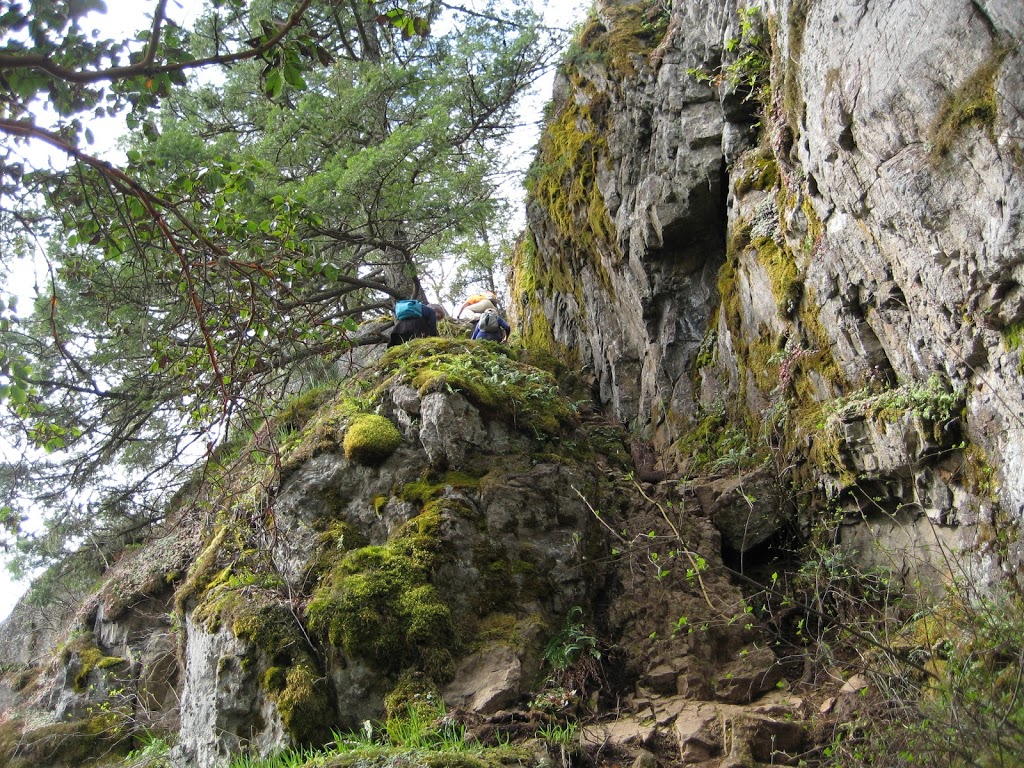 Mt. McDonald | Juan de Fuca, BC V9B 4P9, Canada