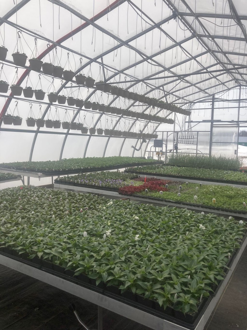 Sunshine Gardens | 41729 Harriston Rd, Bluevale, ON N0G 1G0, Canada | Phone: (519) 450-8013