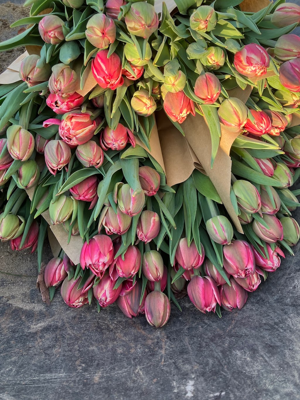 La Petite Ferme Florale | 650 Chem. de Lavaltrie, Lavaltrie, QC J5T 3K8, Canada | Phone: (514) 839-2635