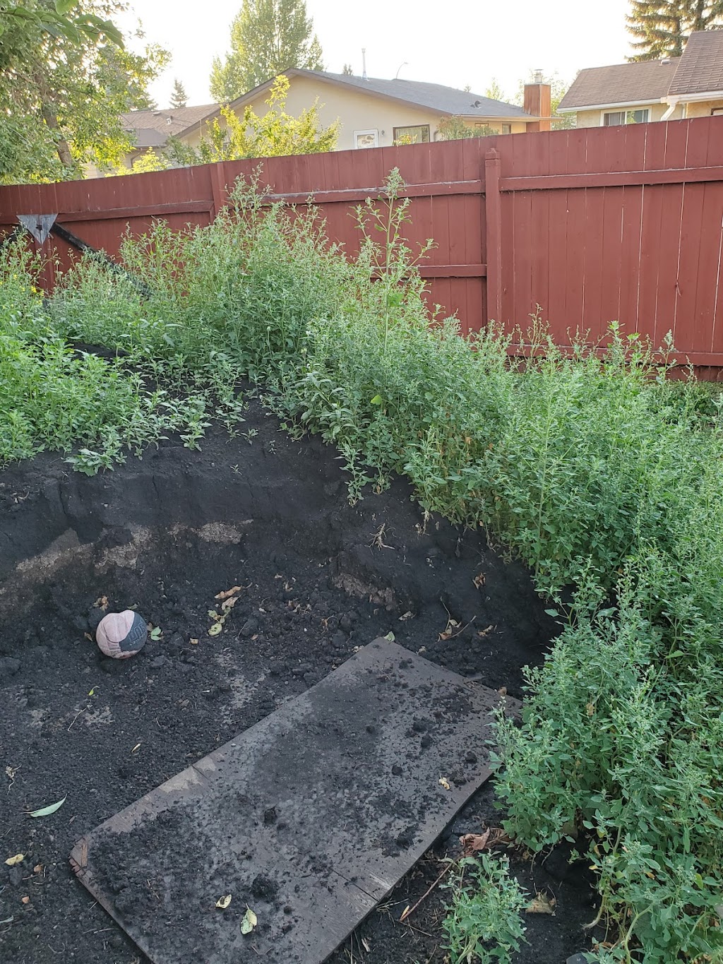 MAXIGREEN FERTILIZING & WEED CONTROL | 12813 58 St NW, Edmonton, AB T5A 4X1, Canada | Phone: (780) 444-3378
