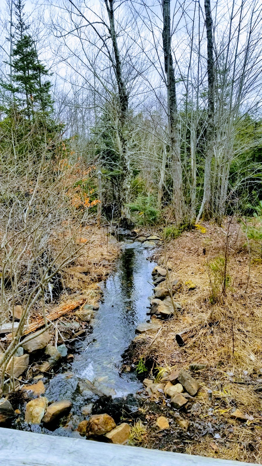 Mainland Common Park | Clayton Park West, Halifax, NS B3S 1K3, Canada