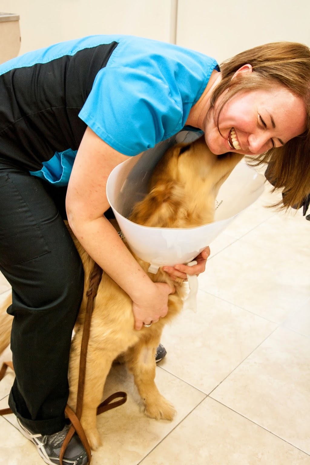 Headon Forest Animal Hospital | 3500 Dundas St, Burlington, ON L7M 4B8, Canada | Phone: (905) 332-4014