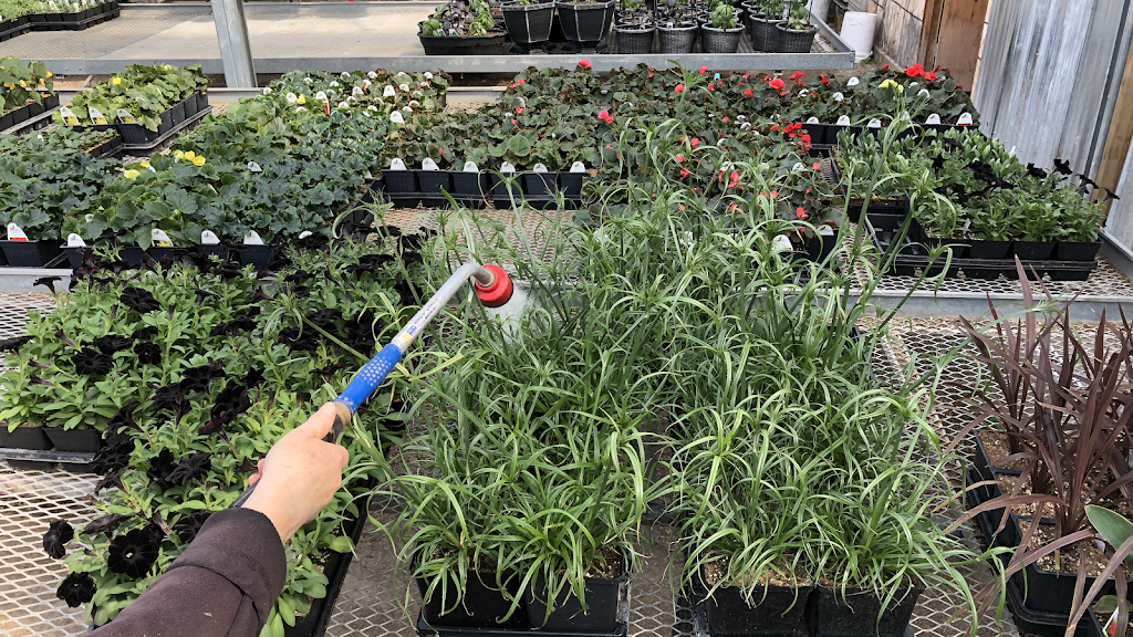 T & T Seeds | 7724 Roblin Blvd, Headingley, MB R4H 1B1, Canada | Phone: (204) 895-9962
