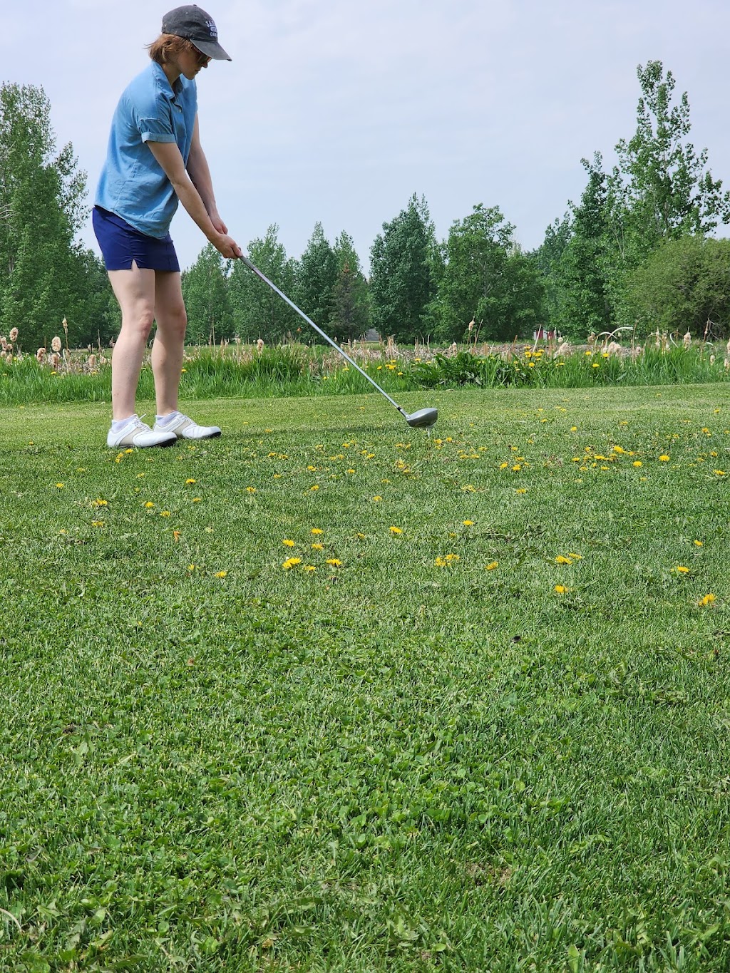 Rolling Hills Golf & Country Club | 100 3rd Ave, Newell County No. 4, AB T0J 2S0, Canada | Phone: (403) 964-2380