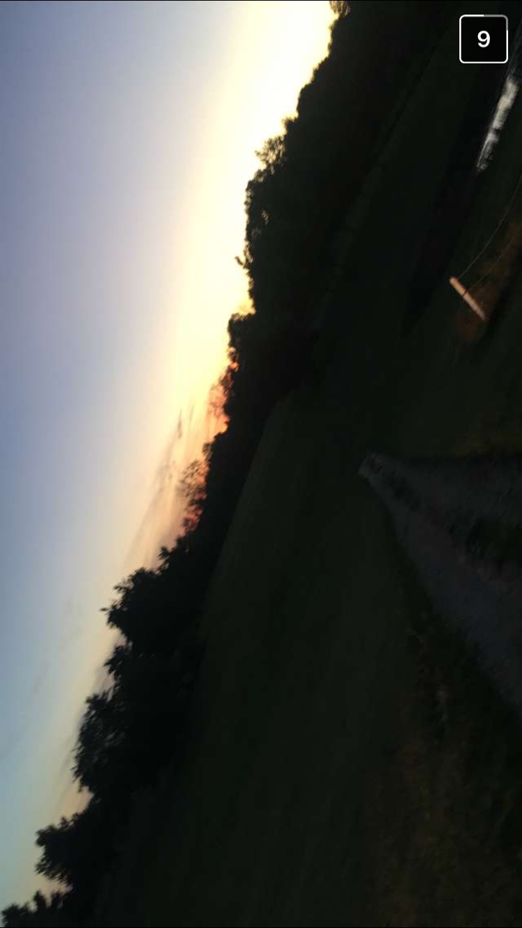 Willow Tree Golf & Country Clb | 232 W Galbraith Line Rd, Melvin, MI 48454, USA | Phone: (810) 387-4001