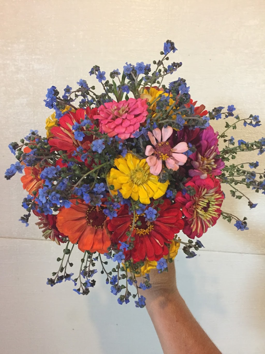 Berrys Blooms | 5216 NS-332, Middle LaHave, NS B4V 3L9, Canada | Phone: (902) 766-4534