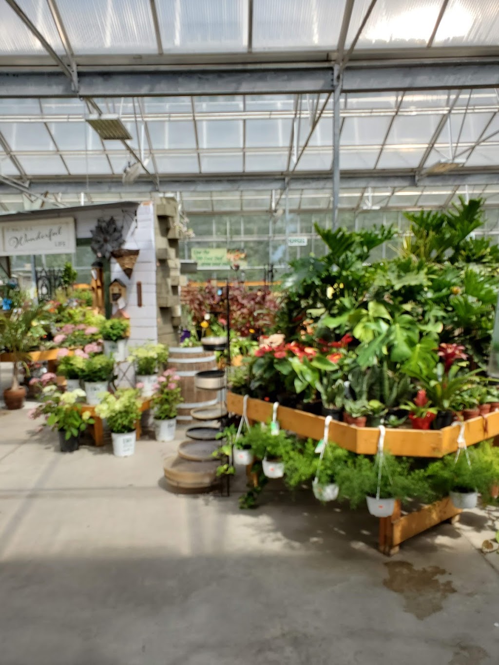 Solomons Home Garden Gift | #55, 25 St NW, Portage la Prairie, MB R1N 4A5, Canada | Phone: (204) 239-6132