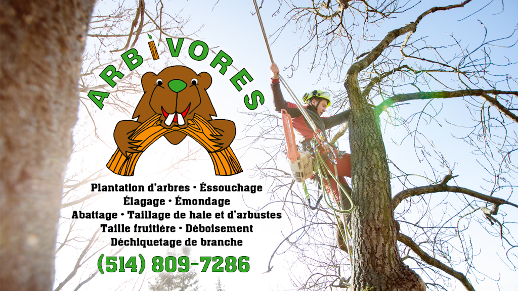 Arbivores - Services darbres et Émondage | 225 Rue des Glaieuls, La Prairie, QC J5R 3H9, Canada | Phone: (514) 809-7286