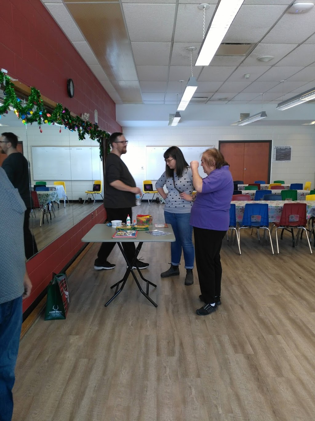 Dominic Agostino Riverdale Community Centre | 150 Violet Dr, Hamilton, ON L8E 6B4, Canada | Phone: (905) 546-4284