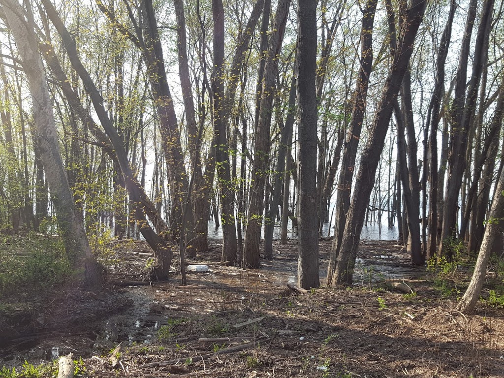 Greenbelt Trail 10 | Carling Ave, Ottawa, ON K2H 8B2, Canada