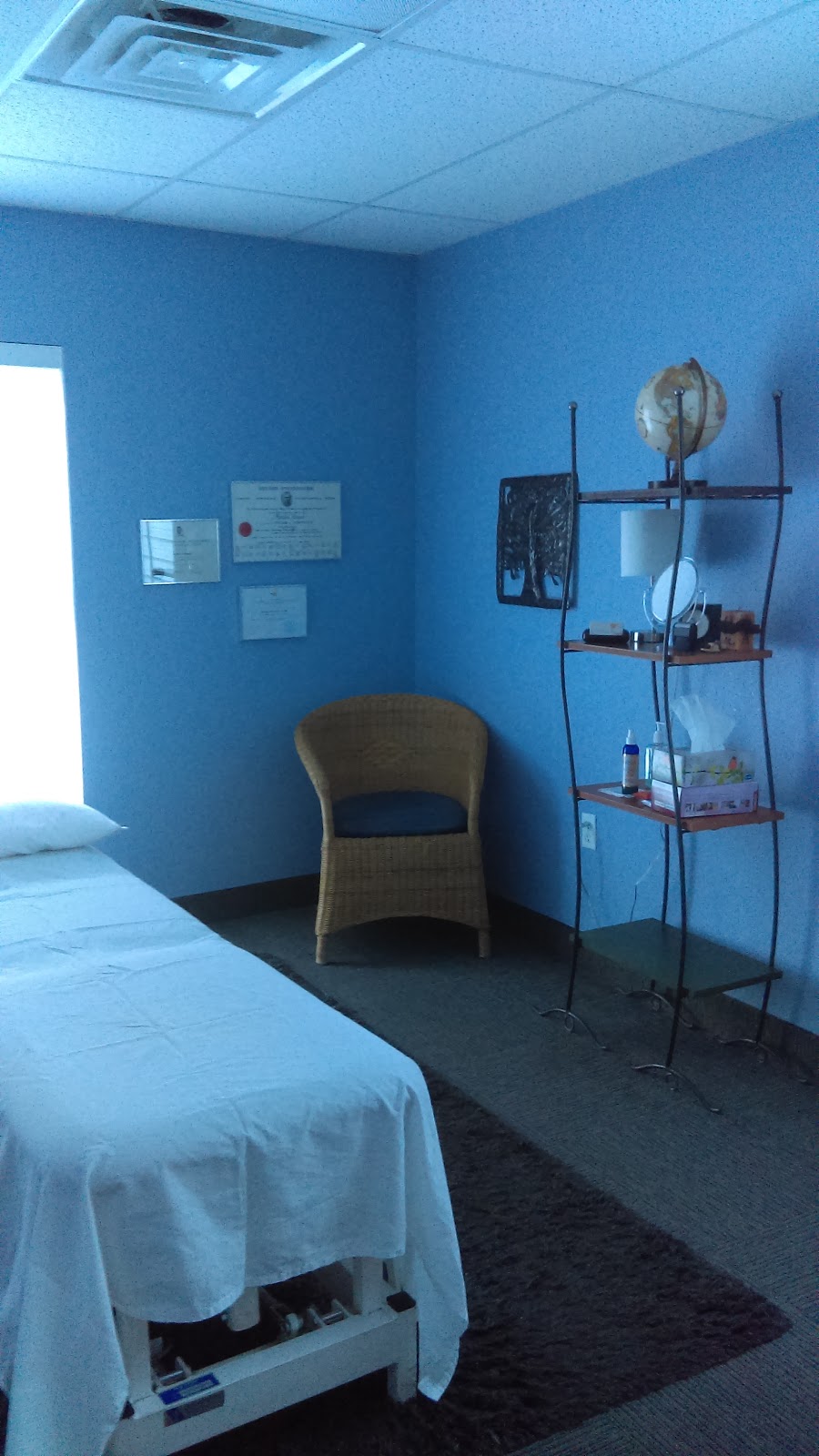Martine Hénault Ostéopathe | 415 Avenue Bourke Bureau 112, Dorval, QC H9S 3W8, Canada | Phone: (514) 633-8080