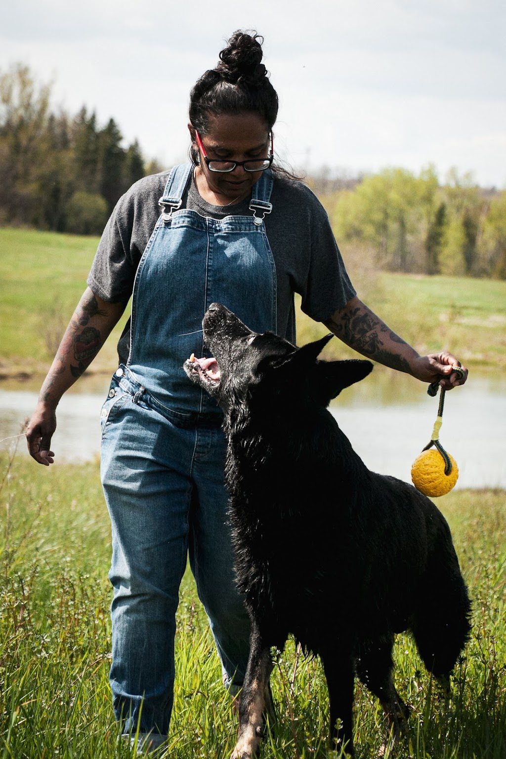 Duo Dog Training | 98 William St #208, Mississauga, ON L5M 1J5, Canada | Phone: (647) 219-5634