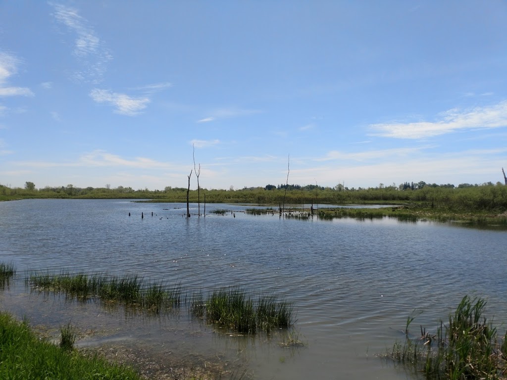 Hullett Provincial Wildlife Area | 41378 Hydro Line Rd, Clinton, ON N0M 1L0, Canada | Phone: (519) 482-7011