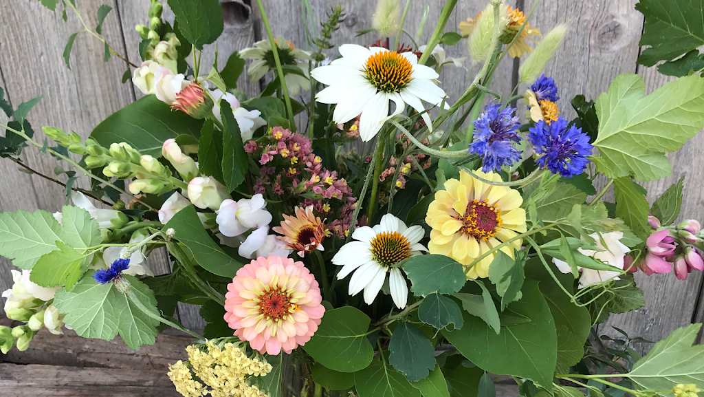 Alexis Joy Florals | 24 York St, Picton, ON K0K 2T0, Canada | Phone: (613) 885-0226