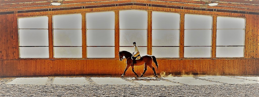 Stonecroft Equine | 19940 McCowan Rd, Mount Albert, ON L0G 1M0, Canada | Phone: (416) 660-9775