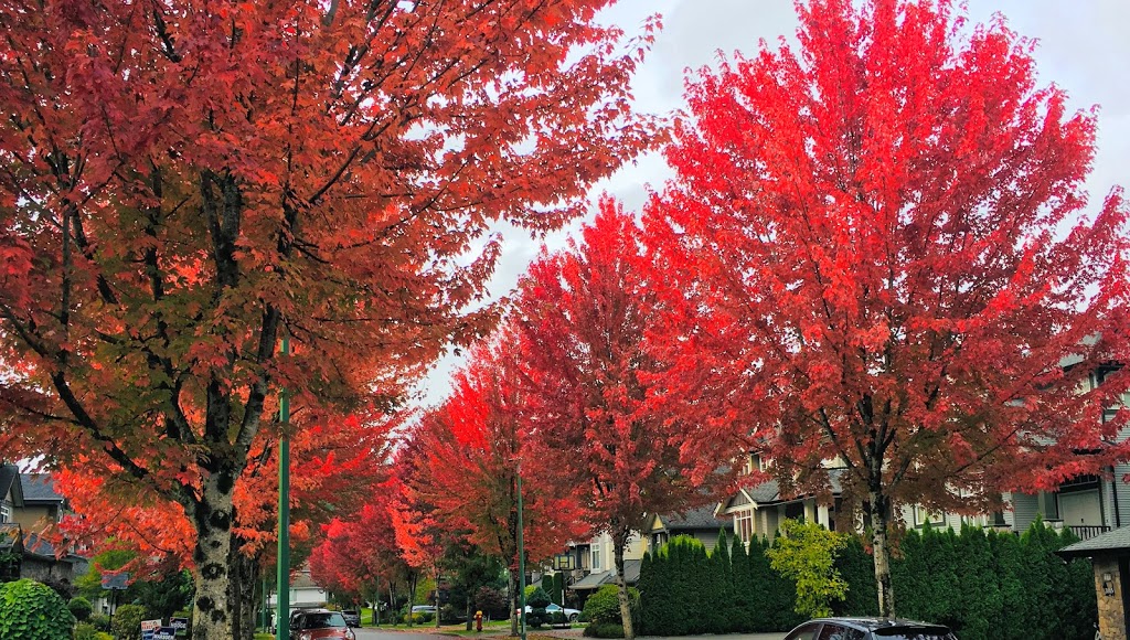 Hockaday Park | 3318 McTavish Ct, Coquitlam, BC V3E 2Z7, Canada | Phone: (604) 927-3000