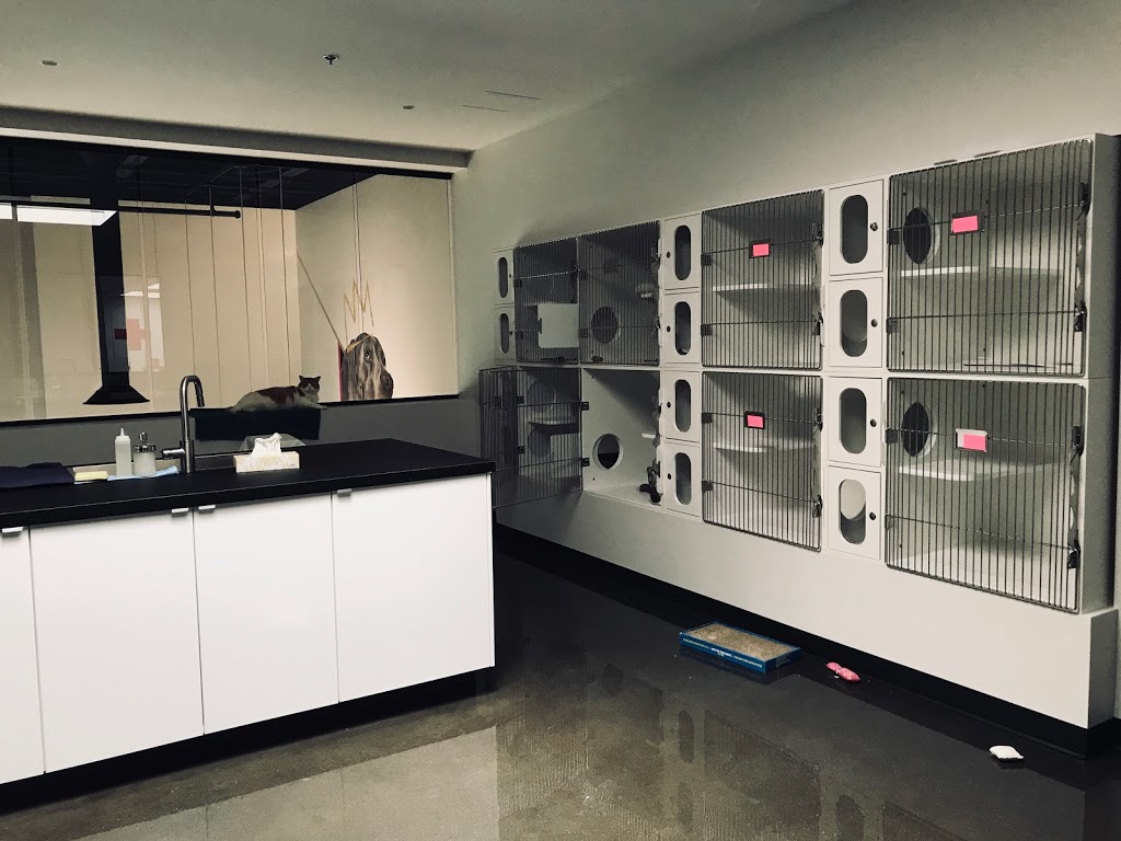 Clinique Vétérinaire Lasalle Inc. | 7820 Boulevard Champlain, LaSalle, QC H8P 1B3, Canada | Phone: (514) 364-1233