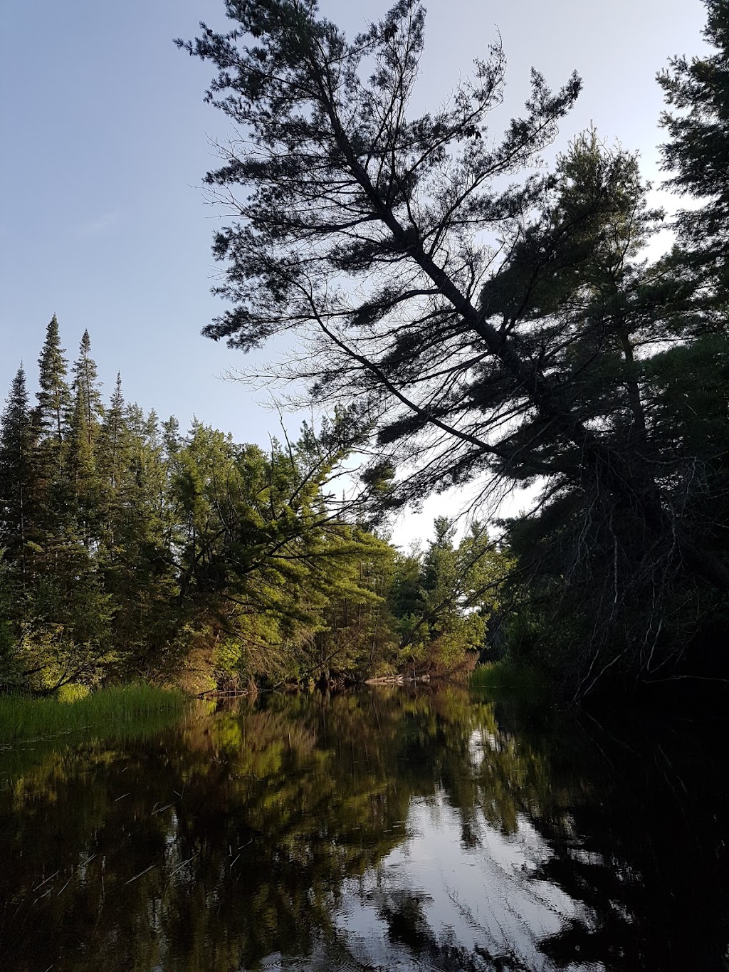 Erskine Park | 4300 Round Lake Rd, Killaloe, ON K0J 2A0, Canada | Phone: (873) 746-2910