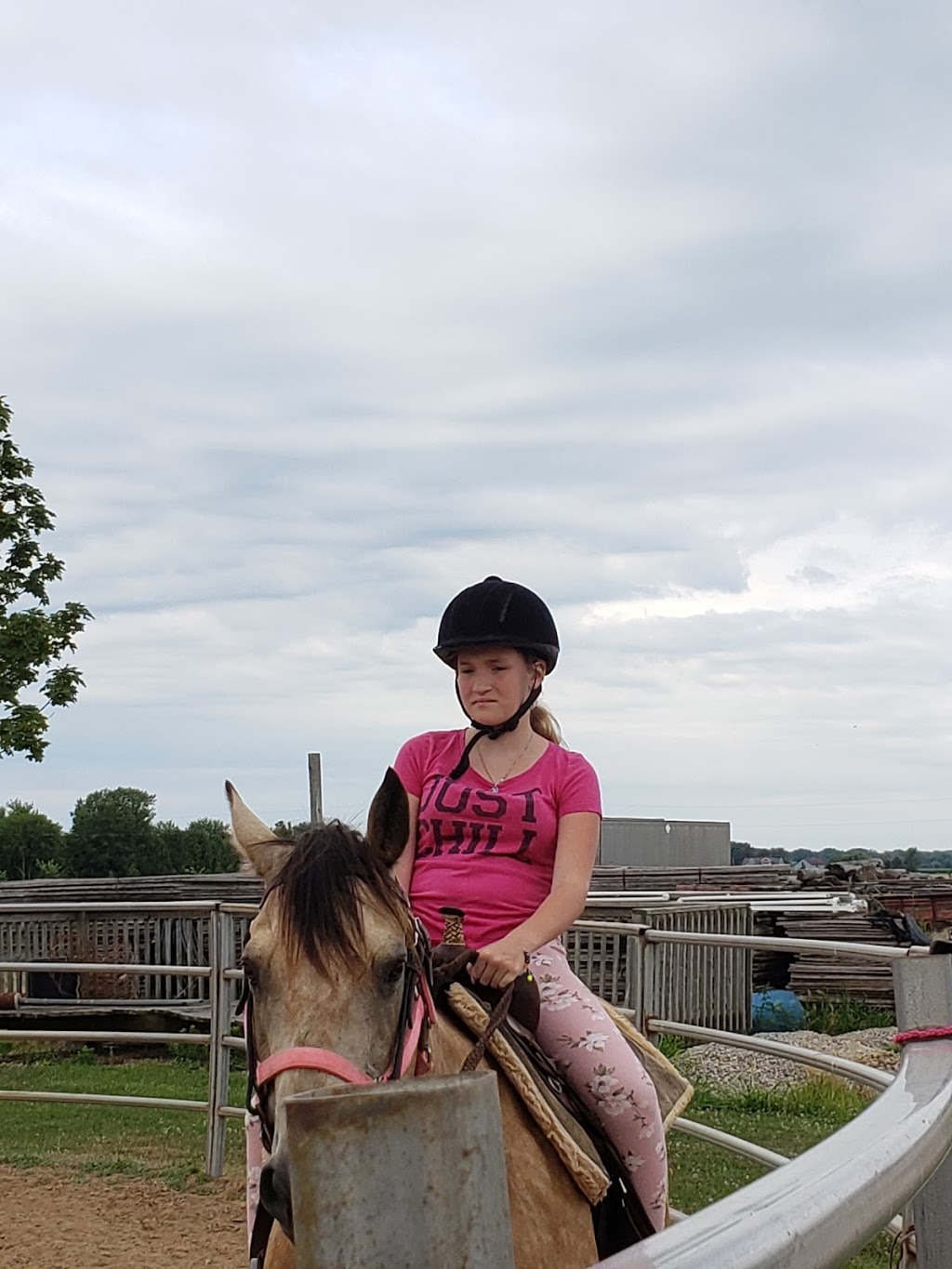 Sarah Parks Horsemanship | 7150 Essex County Rd 20, Amherstburg, ON N9V 0C8, Canada | Phone: (519) 984-4247