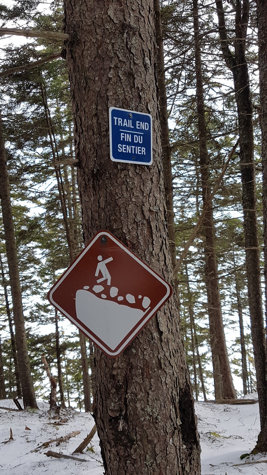 Ministers Face Nature Preserve | Long Island Rd, New Brunswick, Canada | Phone: (506) 457-2398
