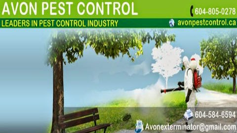 Avon Pest Control Vancouver | 650 Princess Ave, Vancouver, BC V6A 3E1, Canada | Phone: (604) 805-0278