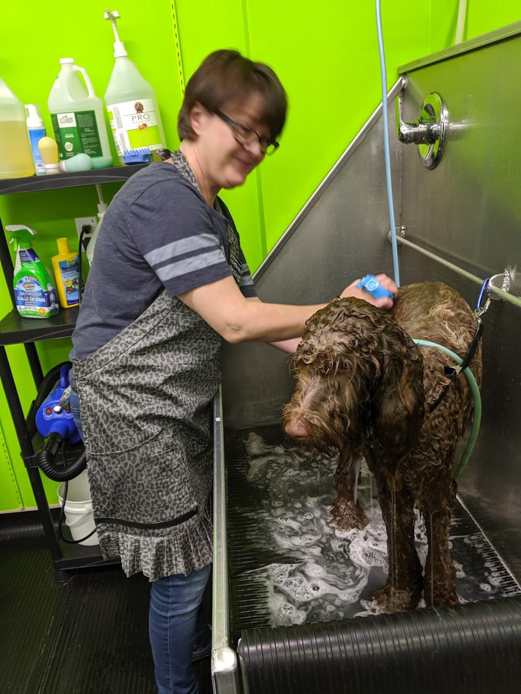 Ma & Paws Pet Supplies | 5049 50 Ave, Rimbey, AB T0C 2J0, Canada | Phone: (403) 843-2181