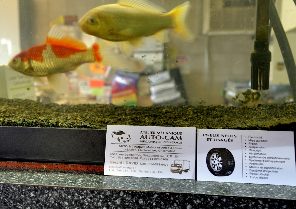 Atelier de Mécanique Autocam | 6592 Rue Bombardier, Saint-Léonard, QC H1P 1E4, Canada | Phone: (514) 329-0030