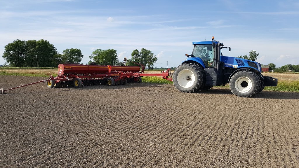 Chris J Dewhirst Trucking and Farms | 73 Cameron Side Rd E, Essex, ON N8M 2X5, Canada | Phone: (519) 818-3589