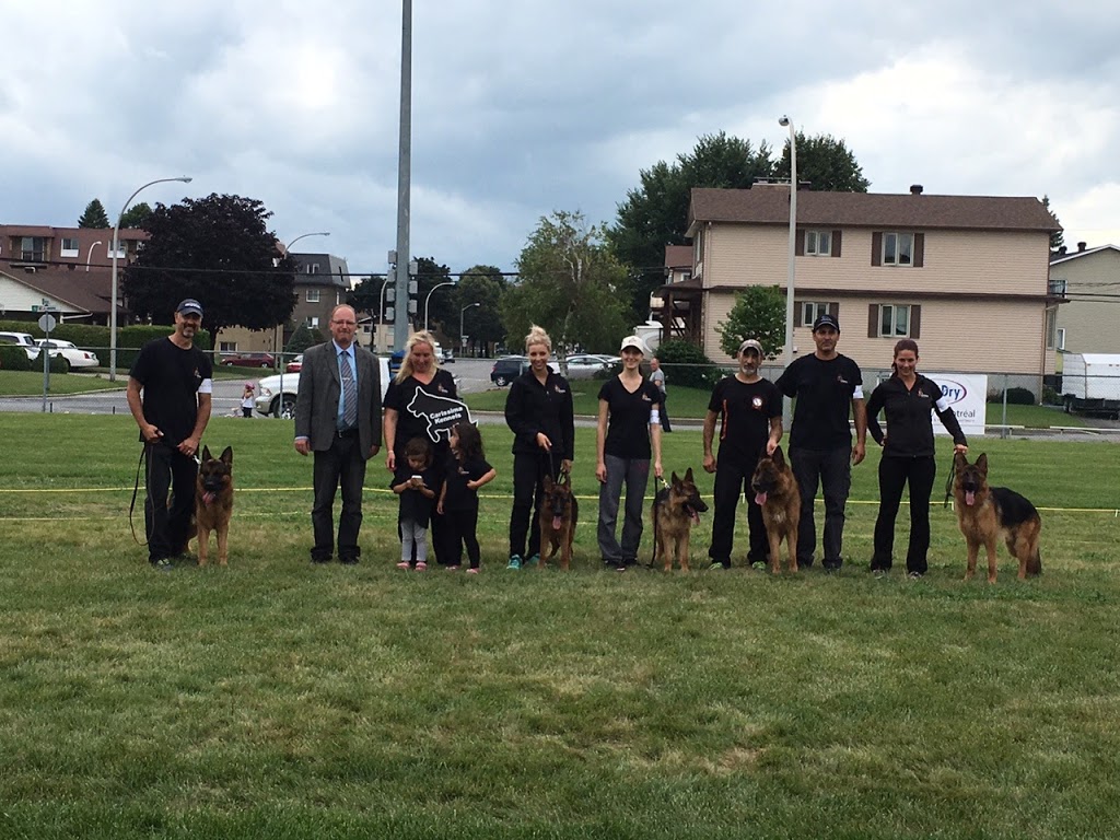 Carissima Kennels | 2829 Concession Rd 5, Loretto, ON L0G 1L0, Canada | Phone: (519) 940-5049