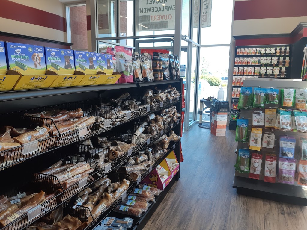 Pitou Minou & Compagnons Global / Global PetFood | 3 Boulevard de Sardaigne, Candiac, QC J5R 0A1, Canada | Phone: (450) 241-6330