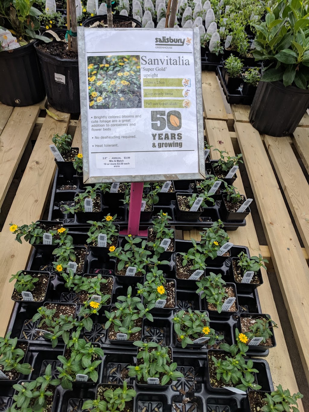 Salisbury Landscaping | 52337 Range Rd 232, Sherwood Park, AB T8B 1B8, Canada | Phone: (780) 410-0611
