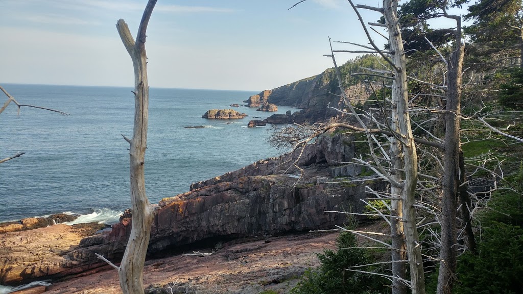 Mickellens Path | 53 Quays Rd, Goulds, NL A1S 1R3, Canada