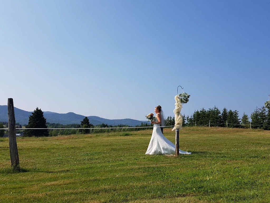 Cheval et campagne | 31 Rue des Grands Prés, Saint-Ferréol-les-Neiges, QC G0A 3R0, Canada | Phone: (418) 572-1922