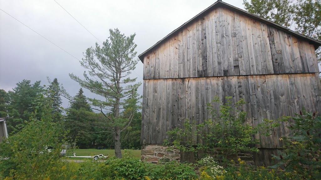 Noble Motel | 1164 Moore Lake Estates Rd, Norland, ON K0M 2L0, Canada | Phone: (705) 454-8298