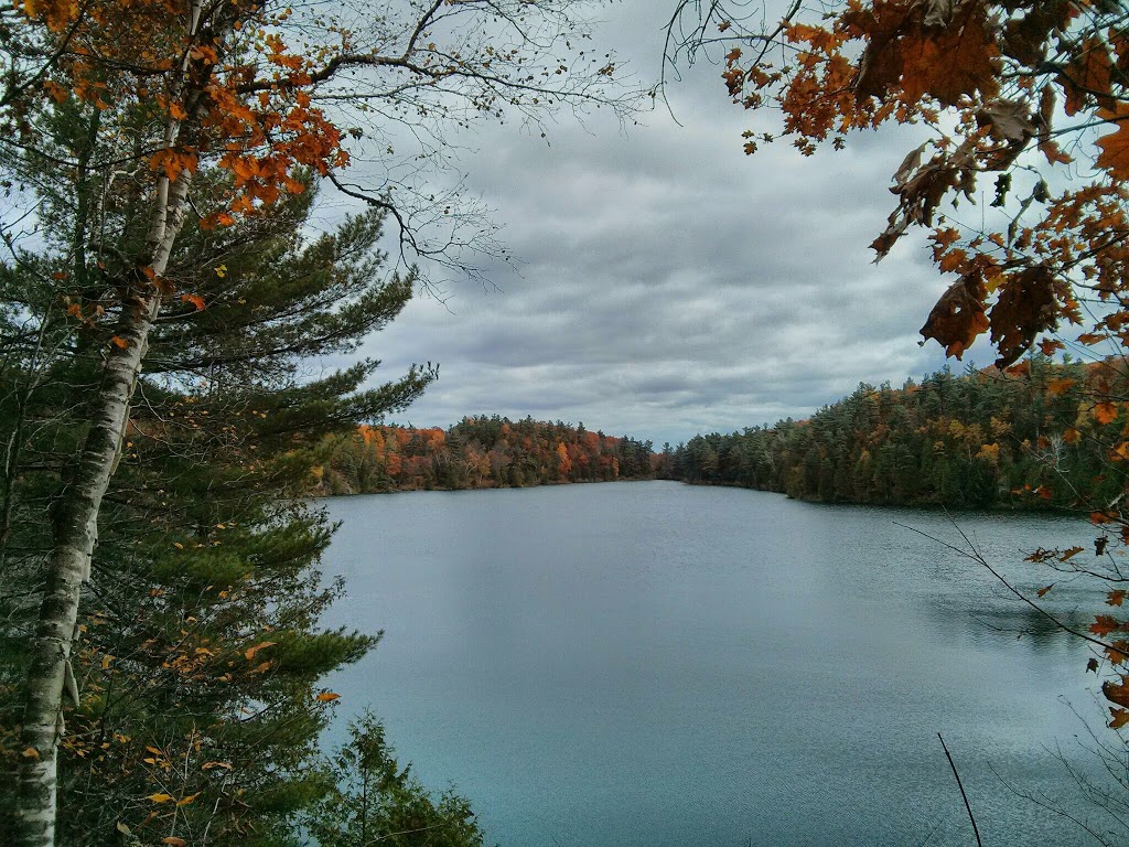 Parc Arc-en-Ciel | 81 Rue de lArc-en-Ciel, Gatineau, QC J9A 3K5, Canada