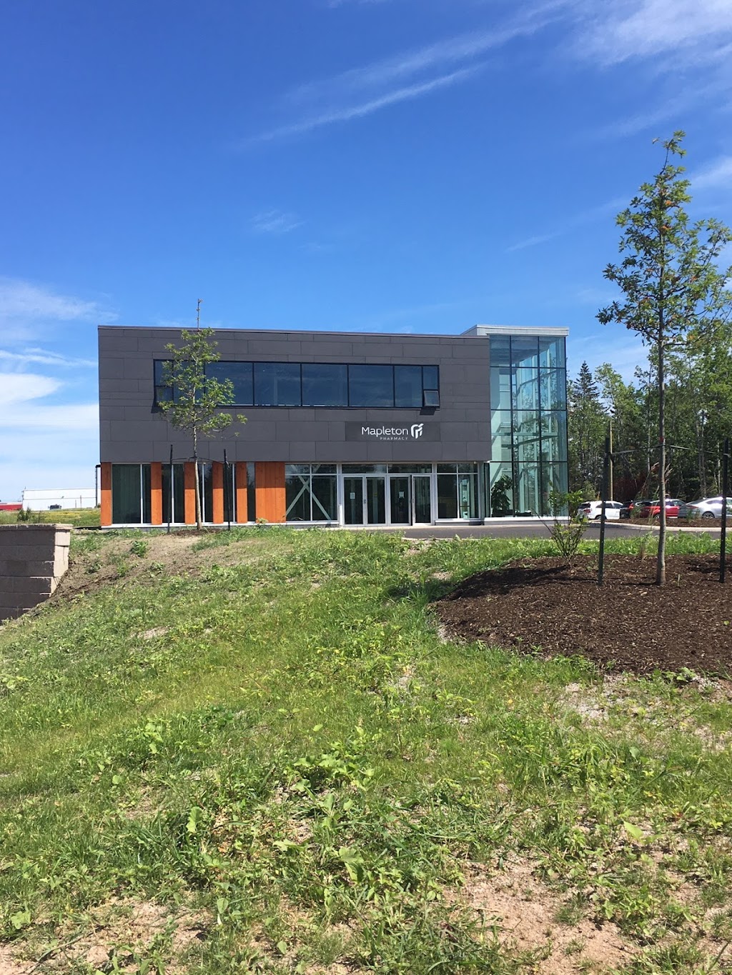 WellNurtureMD | 210 Price St Suite 101, Moncton, NB E1A 2L2, Canada | Phone: (506) 386-6877