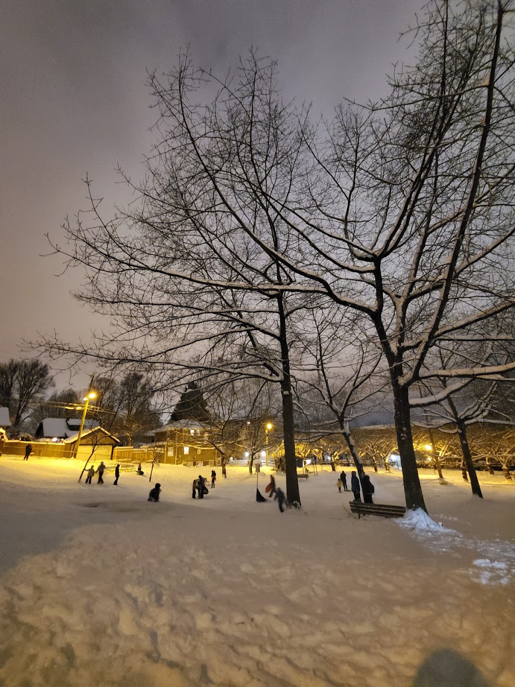 Salsbury Park | 1806 Adanac St, Vancouver, BC V5L 2E2, Canada | Phone: (604) 257-8158