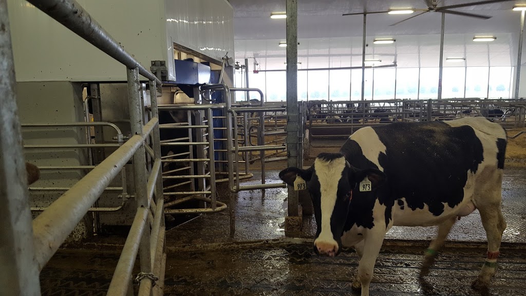 Elora Research Farms | 6182 2 Line E, Ariss, ON N0B 1B0, Canada | Phone: (519) 846-5621