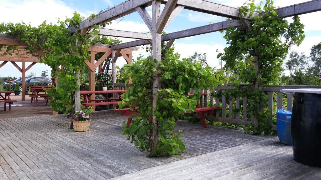 Winegarden Estate Ltd | 851, NB-970, Baie Verte, NB E4M 1Z7, Canada | Phone: (506) 538-7405