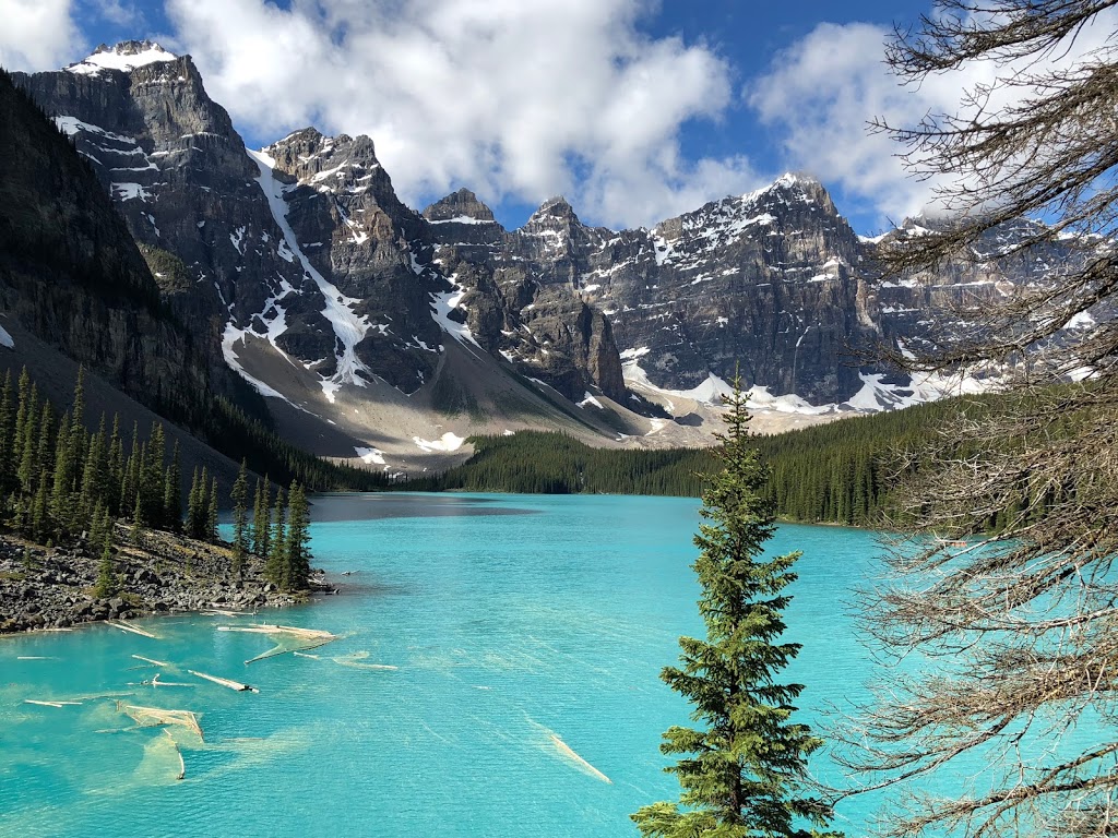 SKIP THE CAB | 240 Skyview Ranch Rd #2209, Calgary, AB T3N 0P4, Canada | Phone: (855) 757-3222