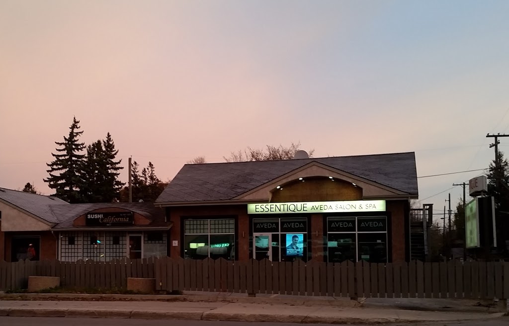 Essentique Aveda Spa Salon | 545 Academy Rd, Winnipeg, MB R3N 0E2, Canada | Phone: (204) 489-0100