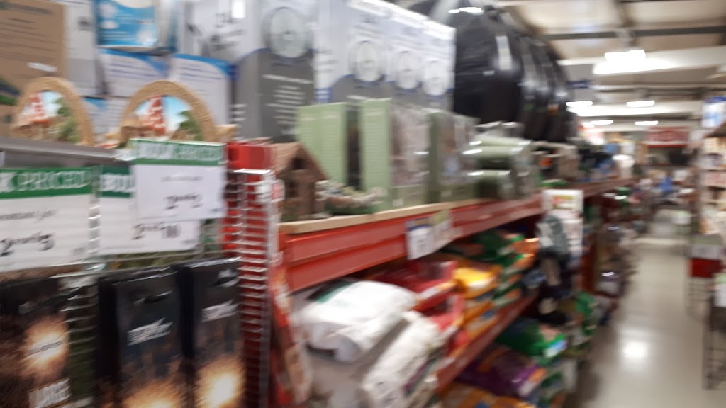 TSC Stores | 490 Brant County Road Unit 18, Brantford, ON N3T 5M1, Canada | Phone: (519) 756-0141