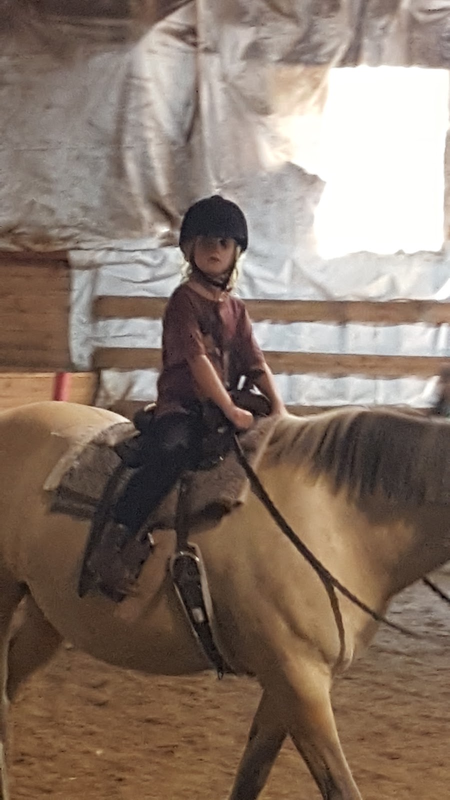 Whitewater Equestrian Centre | 20771 Hwy 17, Pembroke, ON K8A 6W3, Canada | Phone: (613) 633-1331