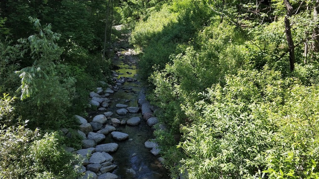 Moore Park Ravine | 205 Moore Ave, Toronto, ON M4T 2K7, Canada | Phone: (416) 392-2489